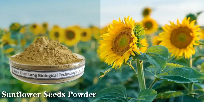 Sunflower Seeds Powder Supplier.jpg